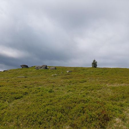 Cabana Alpha Baia Mare Eksteriør bilde