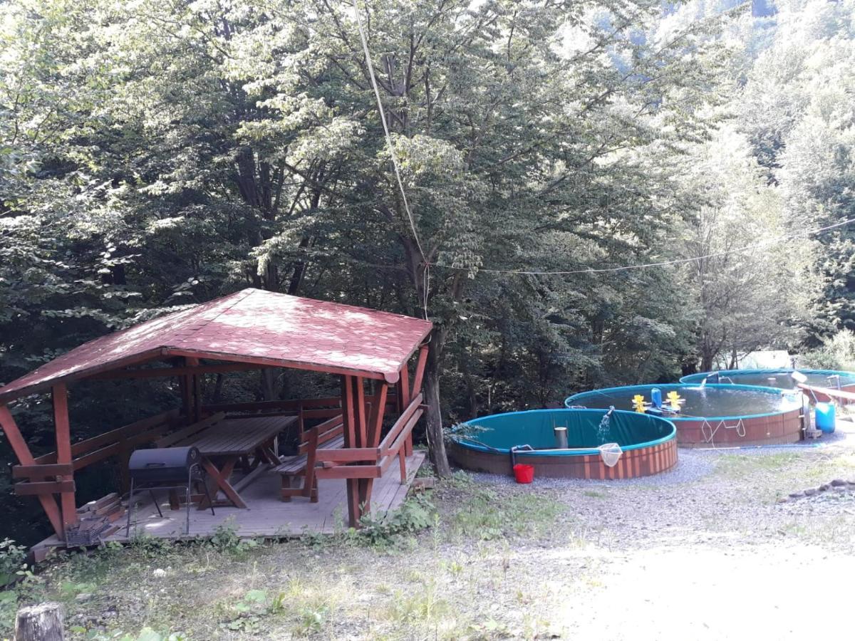 Cabana Alpha Baia Mare Eksteriør bilde