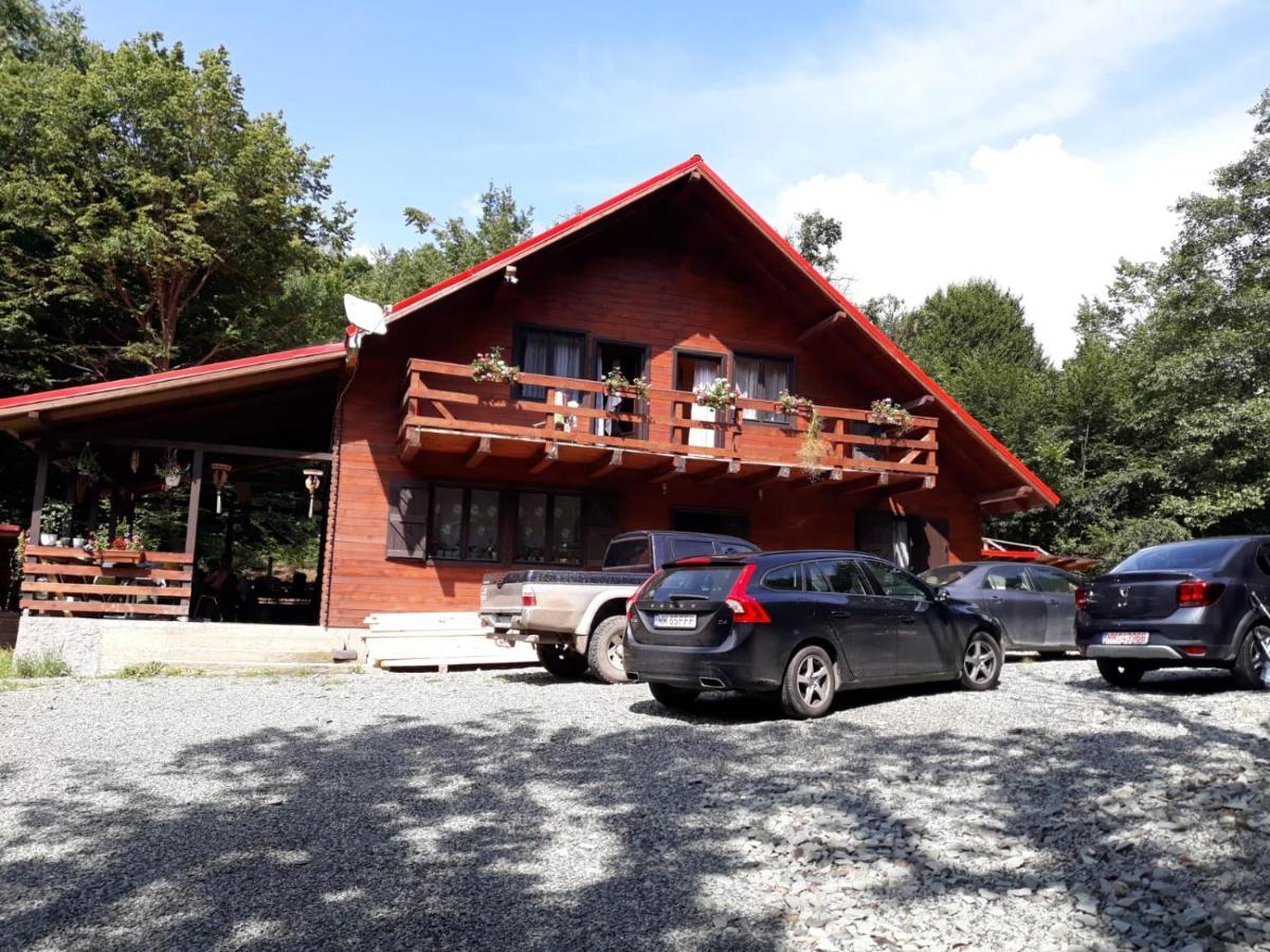 Cabana Alpha Baia Mare Eksteriør bilde