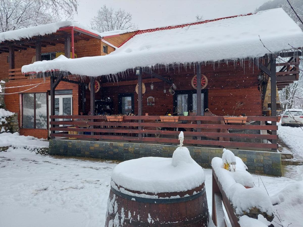 Cabana Alpha Baia Mare Eksteriør bilde