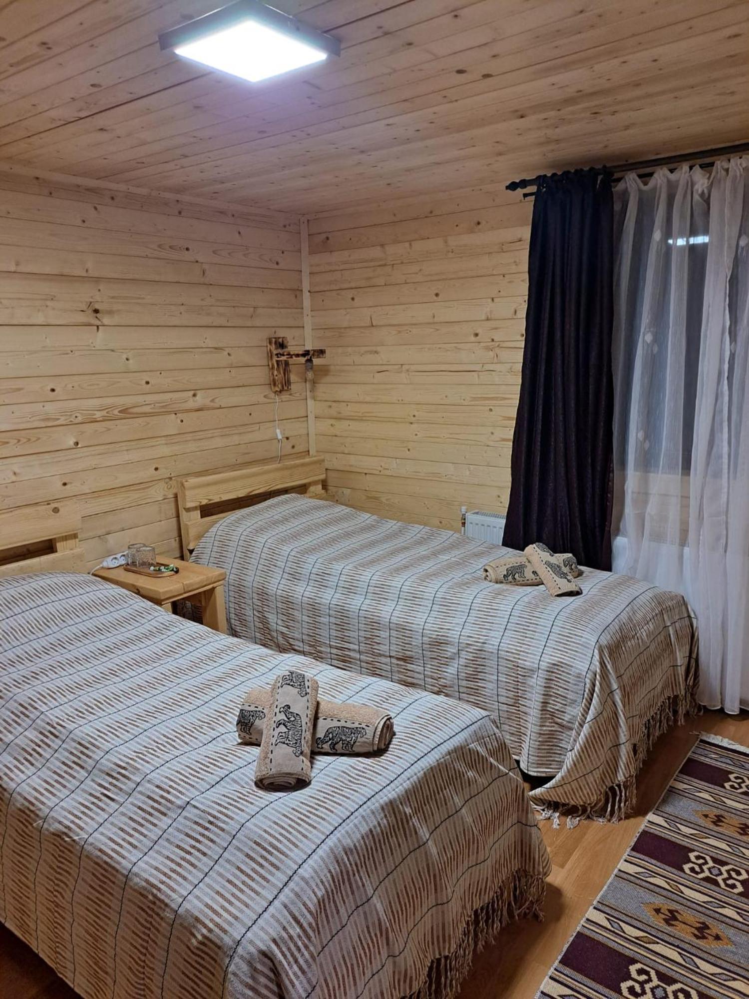 Cabana Alpha Baia Mare Eksteriør bilde