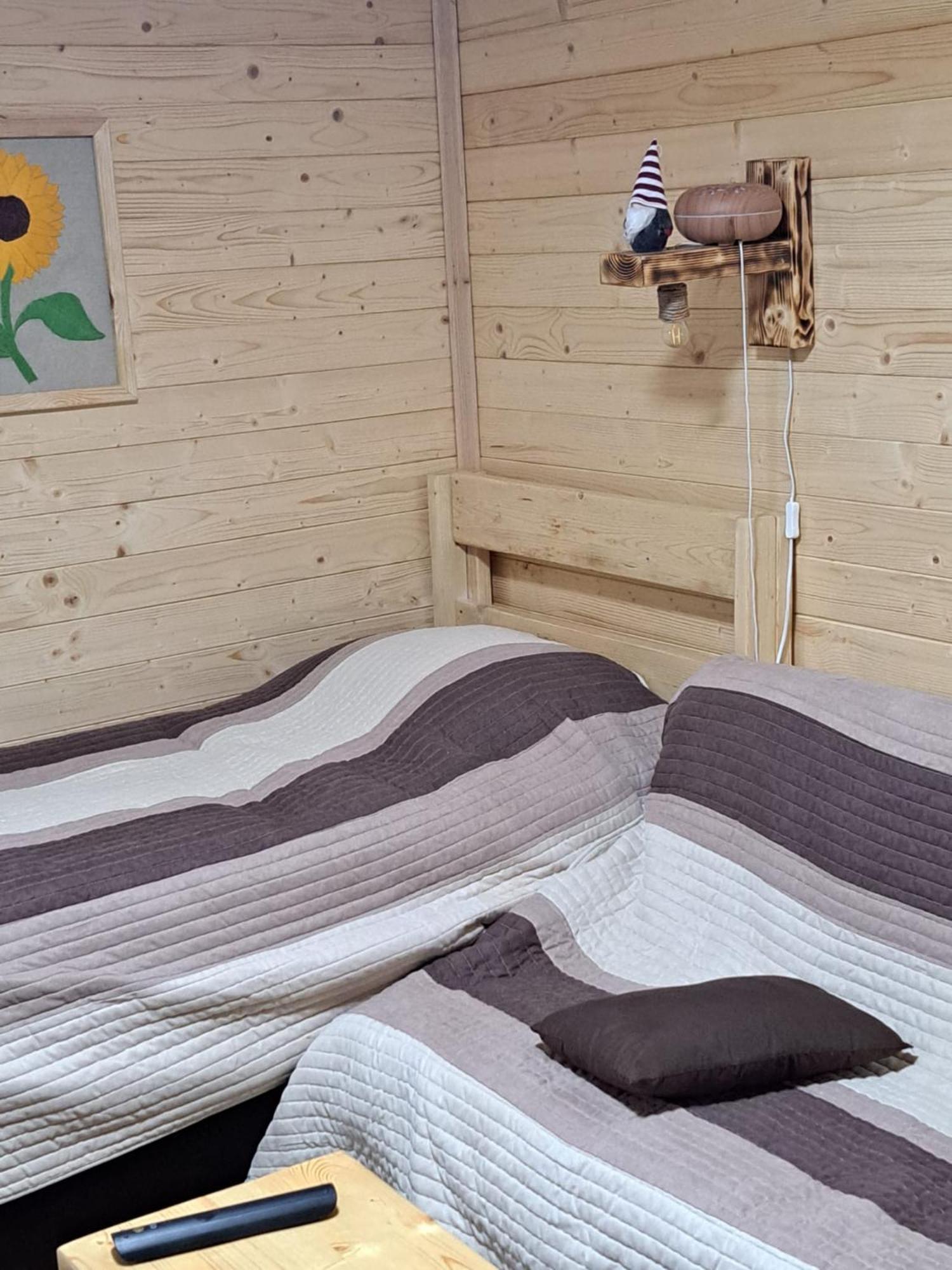 Cabana Alpha Baia Mare Eksteriør bilde