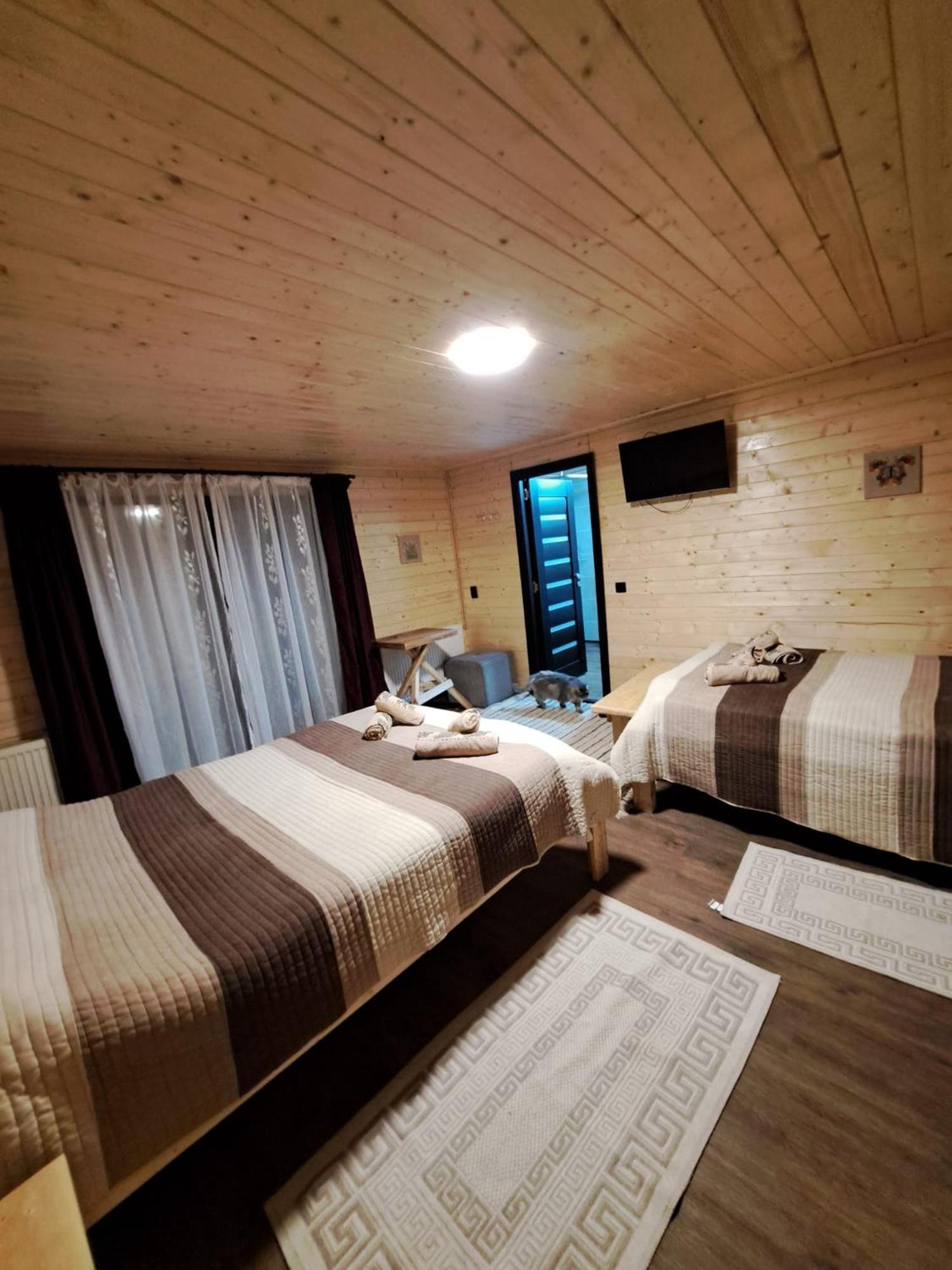 Cabana Alpha Baia Mare Eksteriør bilde