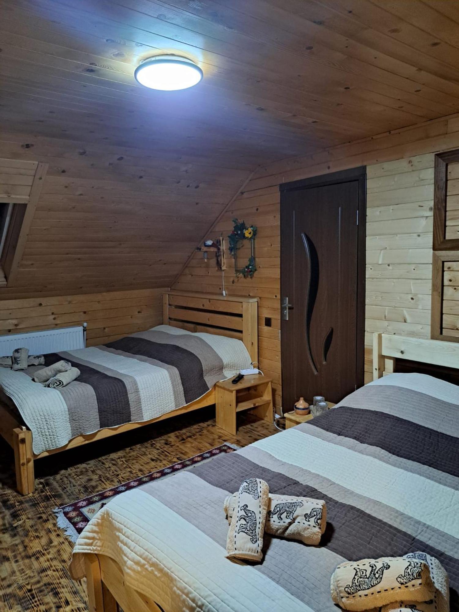 Cabana Alpha Baia Mare Eksteriør bilde